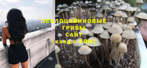 скорость Туринск